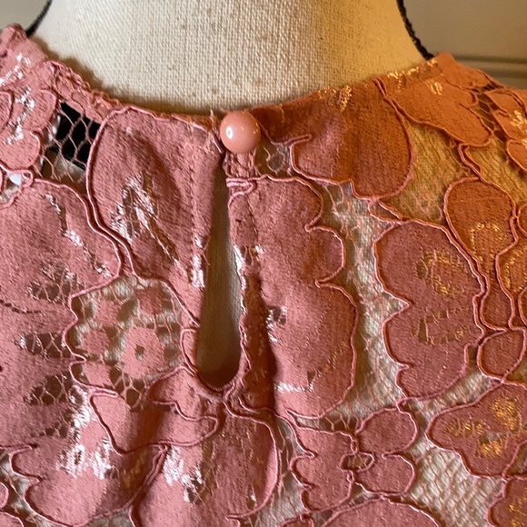 NWT NSR Lace Pink Sheath Dress Short Sleeve - Picture 5 of 10